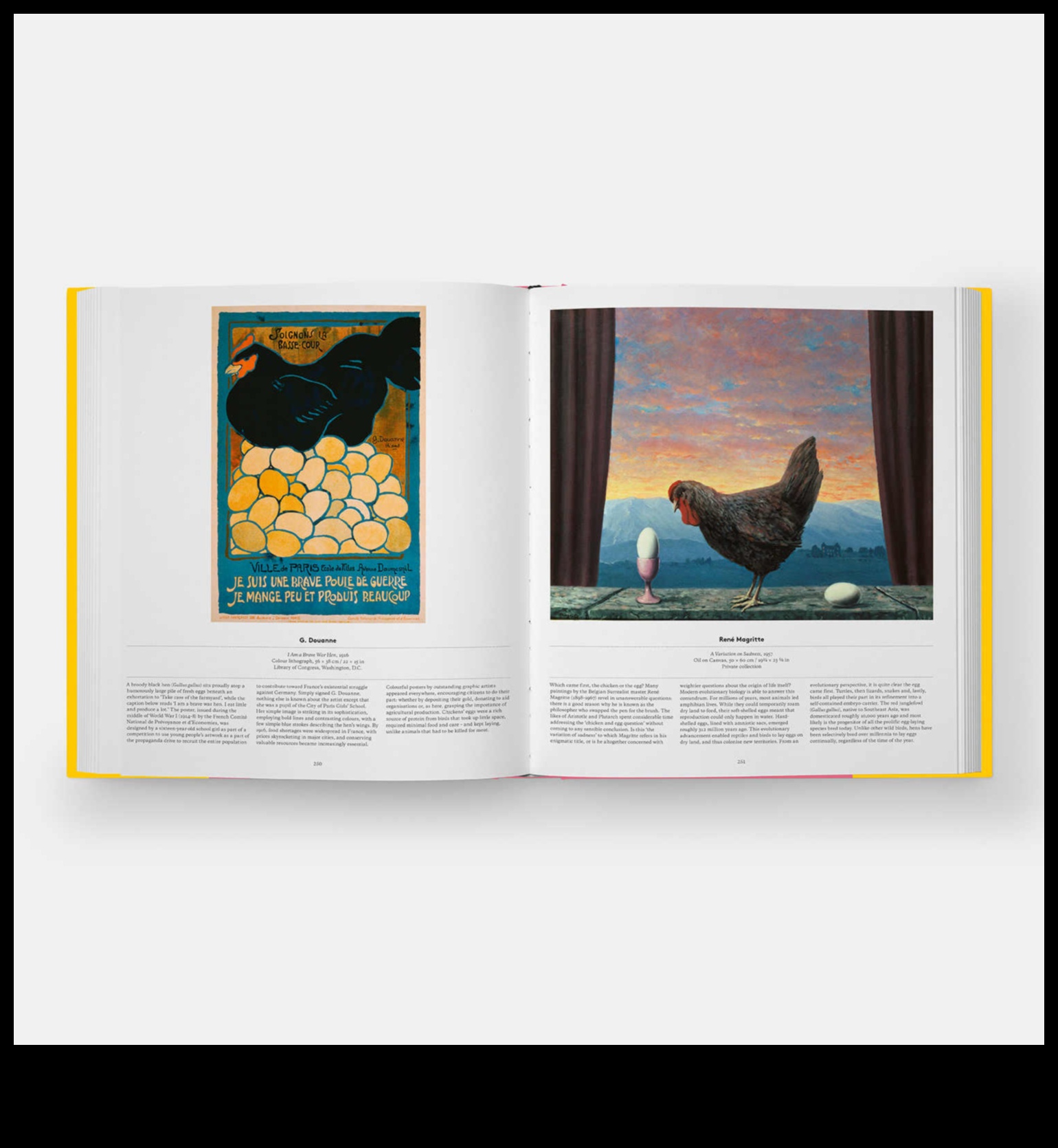 Winged Wonders: Accessorizing Your Pet Bird for Glamour