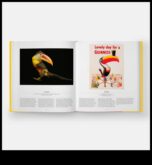 Winged Wonders Πώς να προσθέσετε μια πινελιά γοητείας στο κατοικίδιο πουλί σας