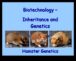 Το Hamster Genetics συνέχισε να ξετυλίγει τη γοητεία των χρωμάτων και των μοτίβων
