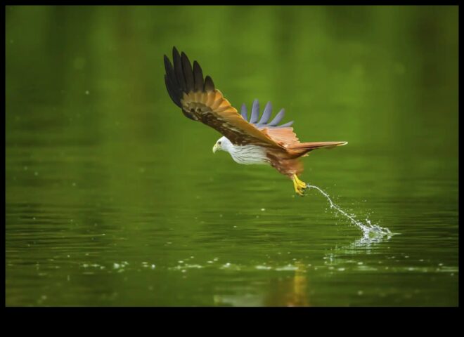 Bird Photography Mastery Advanced Techniques για εκπληκτικές λήψεις