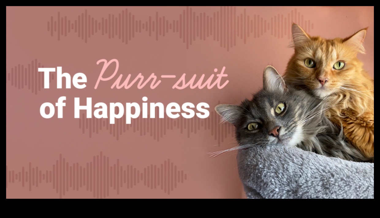 The Purr-suit of Happiness: Εξασφάλιση της ευημερίας της γάτας σας