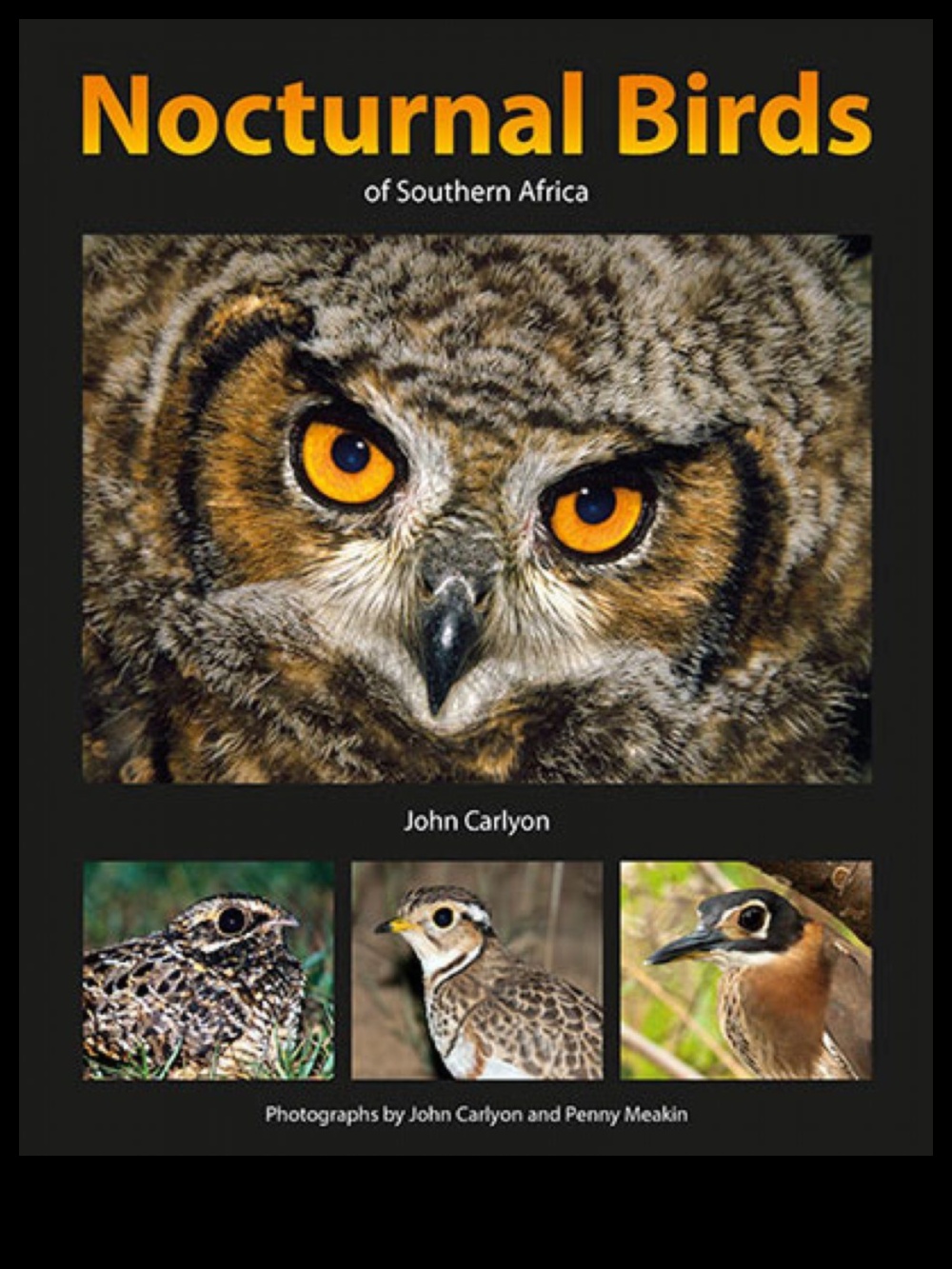 The Night Owl's Guide to Nocturnal Birds