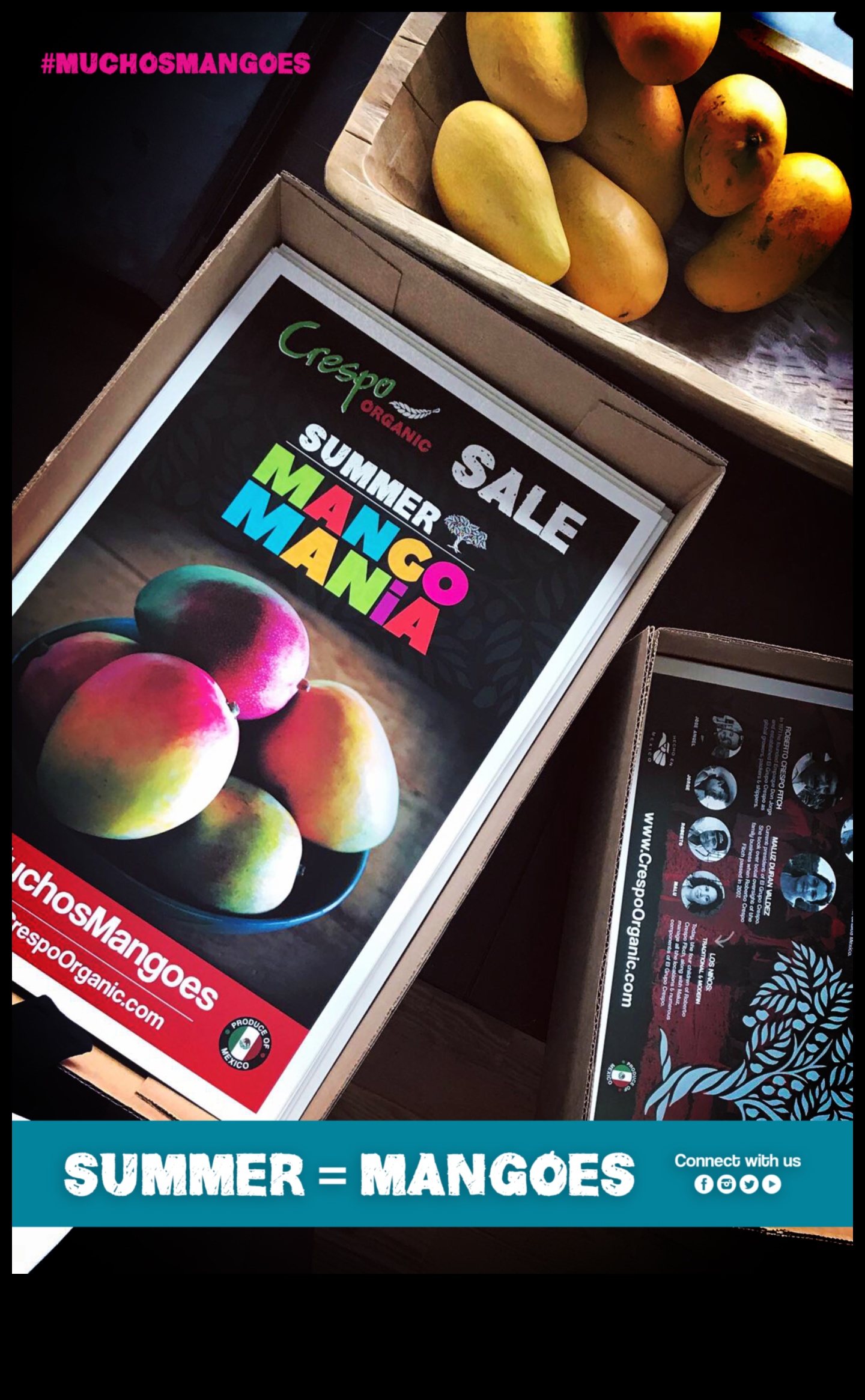 Mango Mania: Γλυκές και αλμυρές μεξικάνικές δημιουργίες μάνγκο