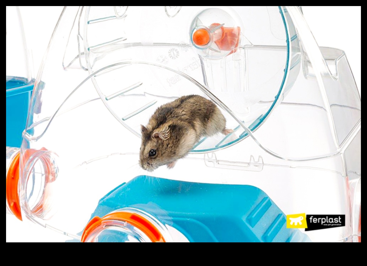 Hammie's Hide-and-Seek Extravaganza Interactive Games for Hamsters 5 Hammie's Hide-and-Seek Extravaganza: Διαδραστικά παιχνίδια για χάμστερ