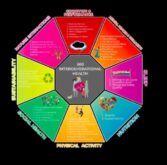 Δίαιτα 3Α Ολιστική Τρόπος ανατρέχοντας Ευημερία