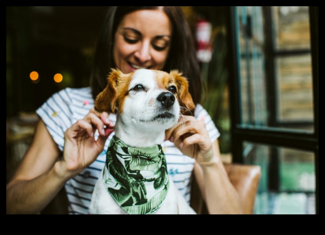 Doggy Destinations: Σχεδιάζοντας την τέλεια απόδραση φιλική προς τα κατοικίδια