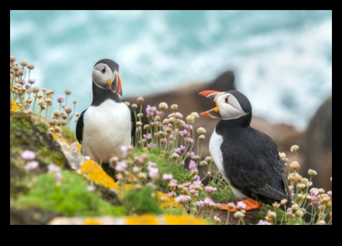 Οι Feathered Friends συνέχισαν τις μοναδικές συμπεριφορές δεσμού μεταξύ των πτηνών 3 Φτερωτοί φίλοι Συνέχεια: Μοναδικές Συμπεριφορές Δέσμευσης Μεταξύ Πτηνών