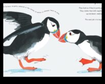 Οι Φτερωτοί φίλοι συνέχισαν τις μοναδικές συμπεριφορές σύνδεσης έναν αριθμό από τα πτηνών