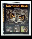 The Night Owl’s Guide to Nocturnal Birds