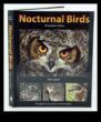 The Night Owl’s Guide to Nocturnal Birds