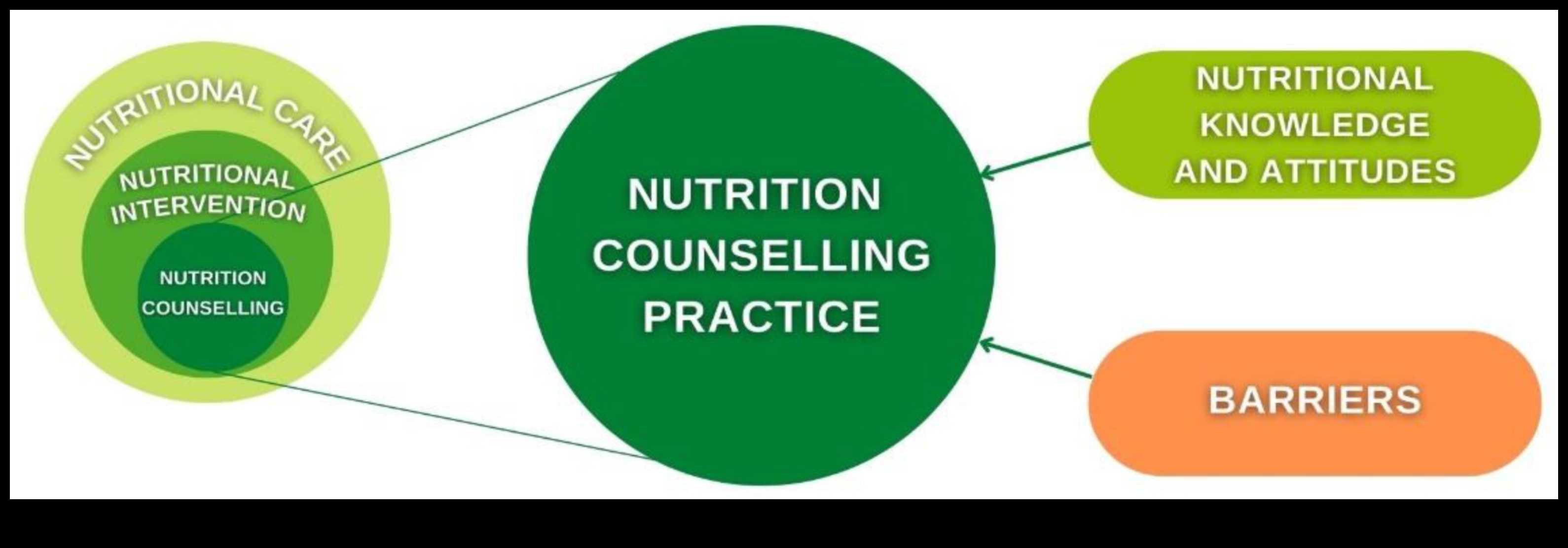The Nutrition Edge: Strategies for Success in Nutrition Counselling