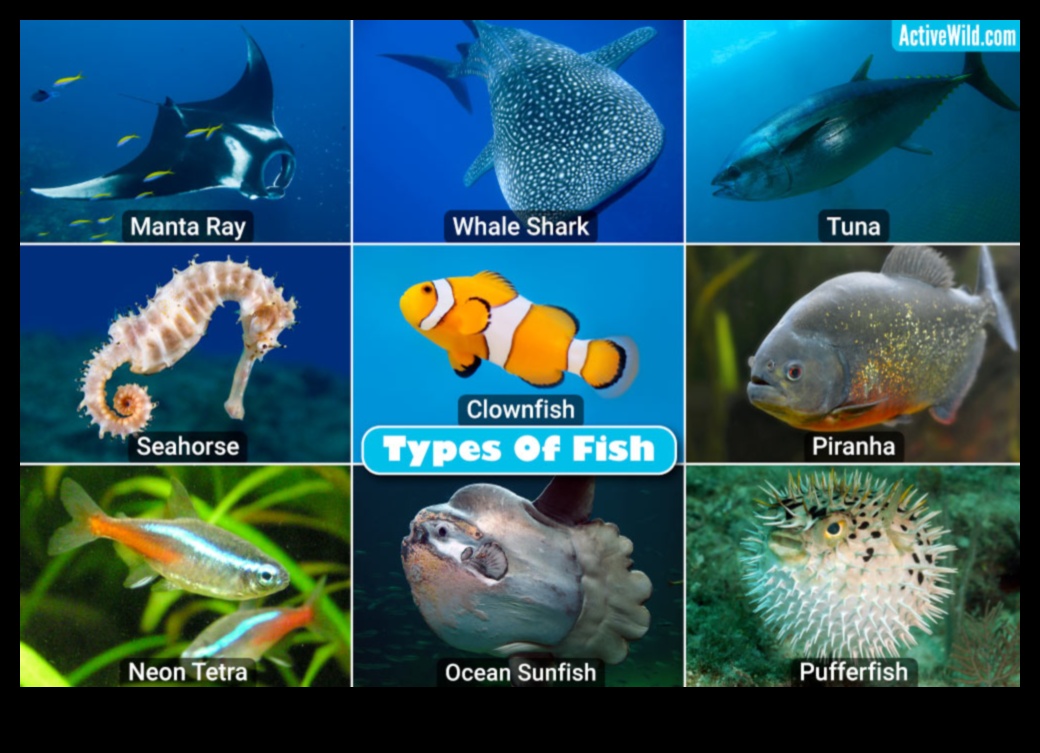 Συνέχεια αναγνώρισης ψαριών: Αναγνώριση ασυνήθιστων και εξωτικών ειδών