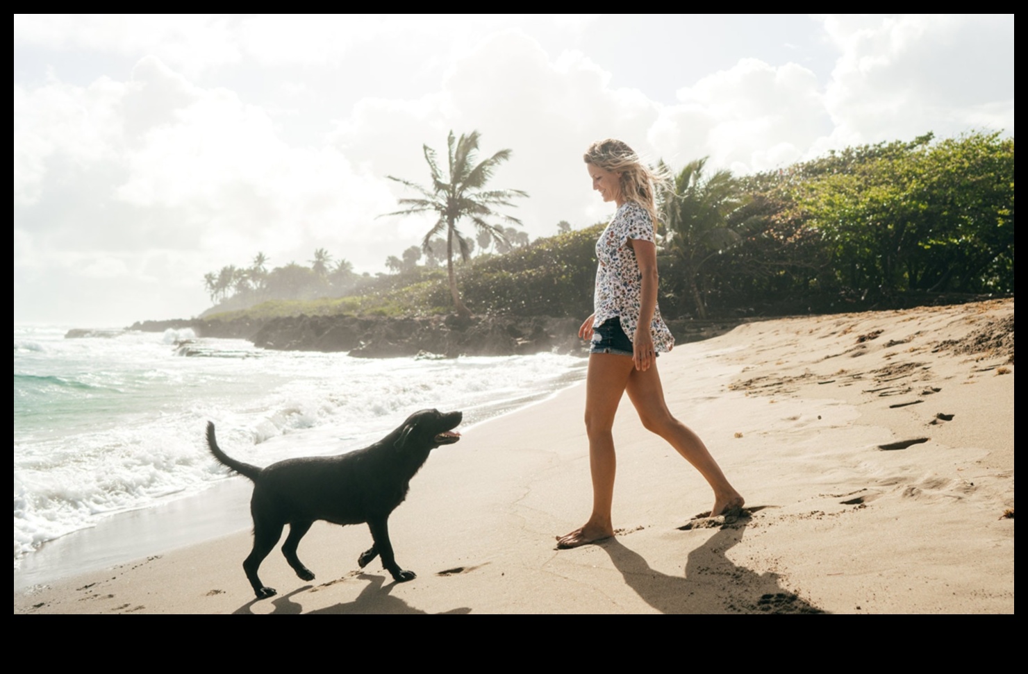 Doggy Destinations: Σχεδιάζοντας την τέλεια απόδραση φιλική προς τα κατοικίδια